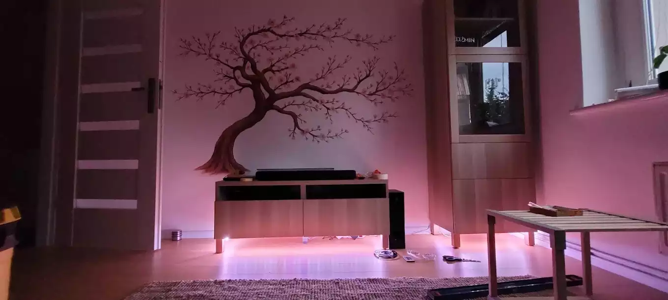 Jak dobór kolorów i grafik ściennych wpływa na nas i nasze samopoczucie